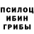 Галлюциногенные грибы Psilocybe Faniya Zakirova