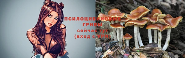дмт Ростов