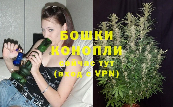крисы Россошь