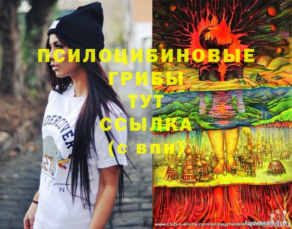 дмт Ростов
